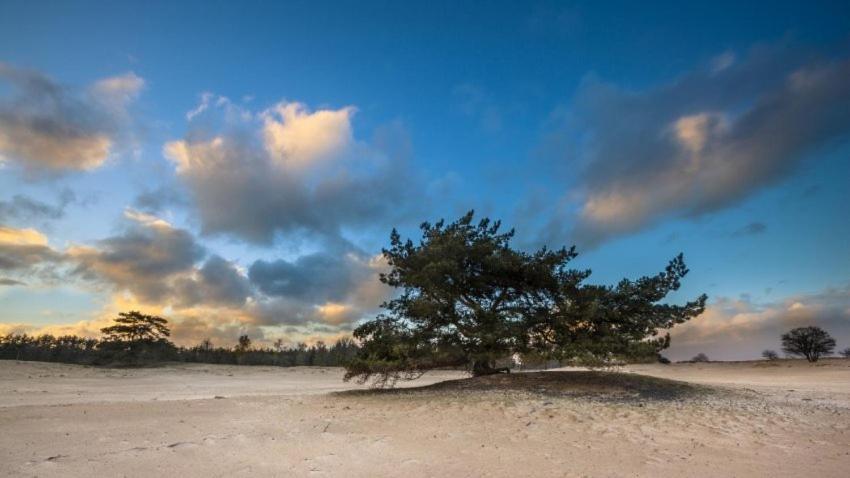 Vakantieverhuur Bienvenue Bojil Luaran gambar